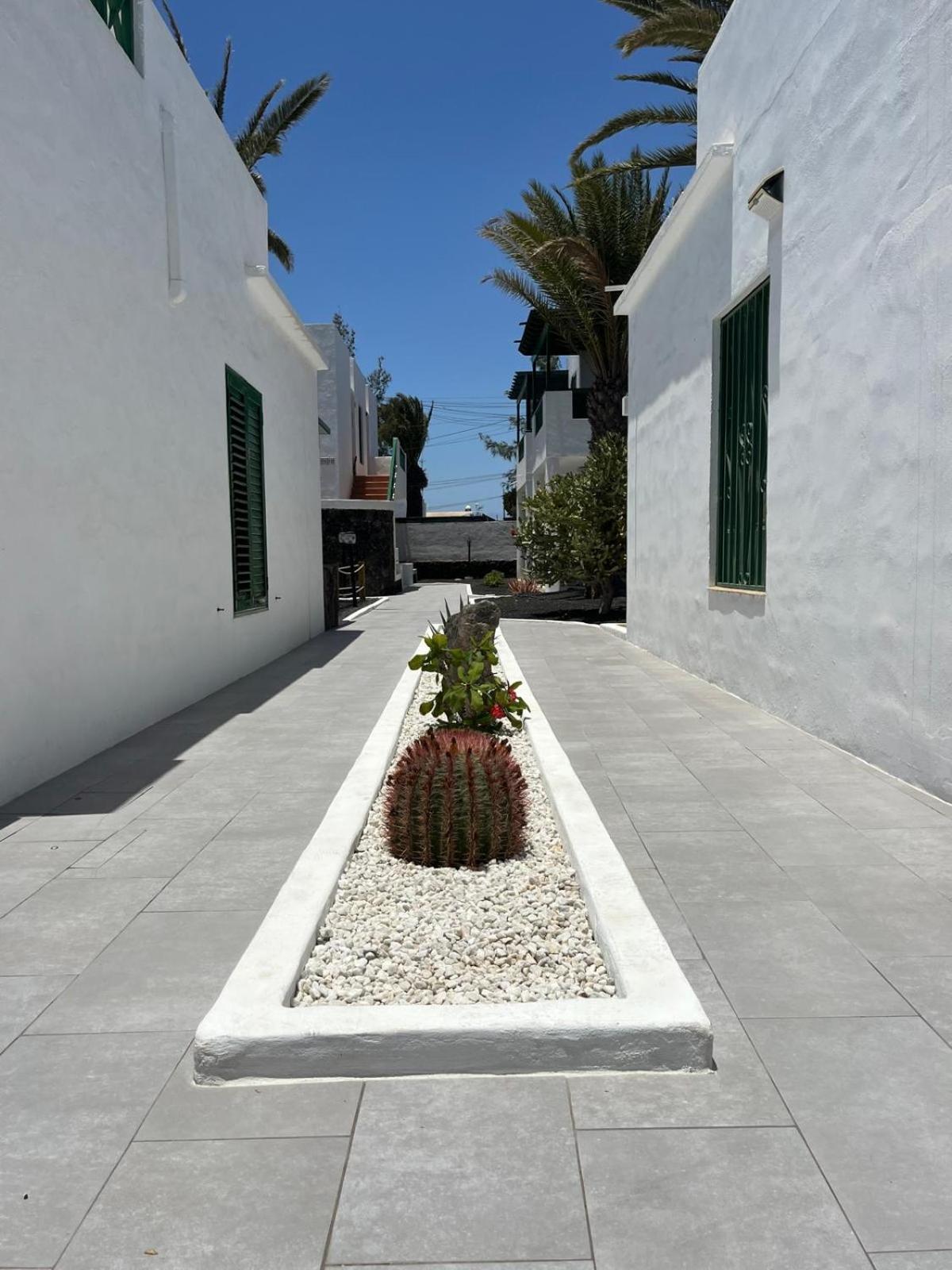 Apartamento Lanza Palm Puerto del Carmen  Eksteriør billede